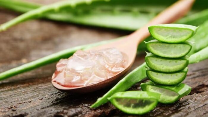Health Tips : కలబంద జ్యూస్ ను రోజూ తీసుకుంటే ఎన్ని లాభాలో తెలుసా? Health Tips : కలబంద జ్యూస్ ను రోజూ తీసుకుంటే ఎన్ని లాభాలో తెలుసా?