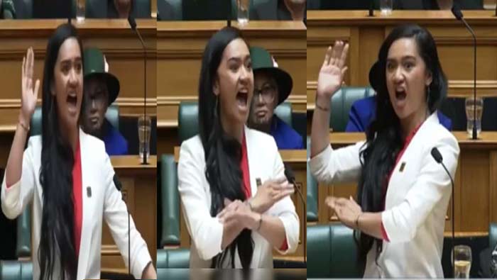 New Zealand Youngest MP: మాతృభాష కోసం నా ప్రాణాలను ఇవ్వడానికి సిద్ధంగా ఉన్నాను.. New Zealand Youngest MP: మాతృభాష కోసం నా ప్రాణాలను ఇవ్వడానికి సిద్ధంగా ఉన్నాను..