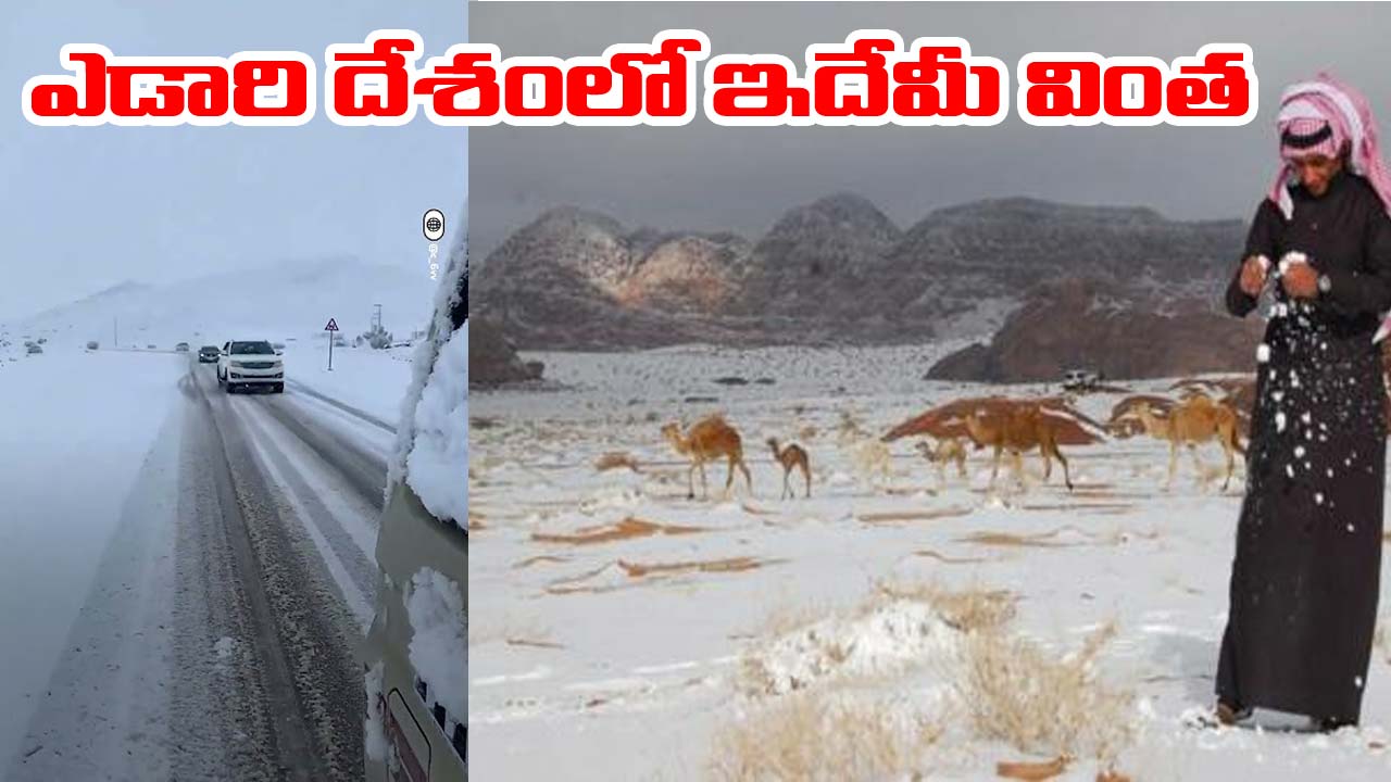 Snowfall: ఎడారి దేశంలో భారీ హిమపాతం.. ఆశ్చర్యపోతున్న శాస్త్రవేత్తలు Snowfall: ఎడారి దేశంలో భారీ హిమపాతం.. ఆశ్చర్యపోతున్న శాస్త్రవేత్తలు