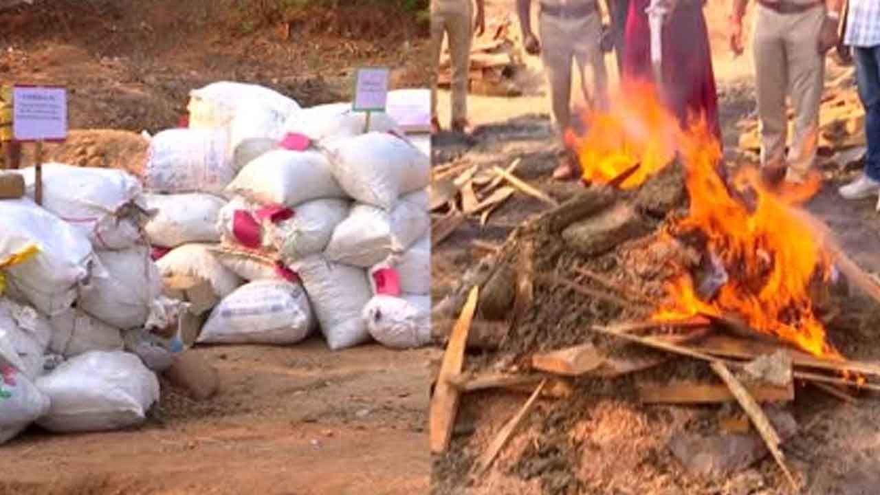 Ganja : రూ.11.61 కోట్ల గంజాయి, డ్రగ్స్ను కాల్చేసిన పోలీసులు Ganja : రూ.11.61 కోట్ల గంజాయి, డ్రగ్స్ను కాల్చేసిన పోలీసులు