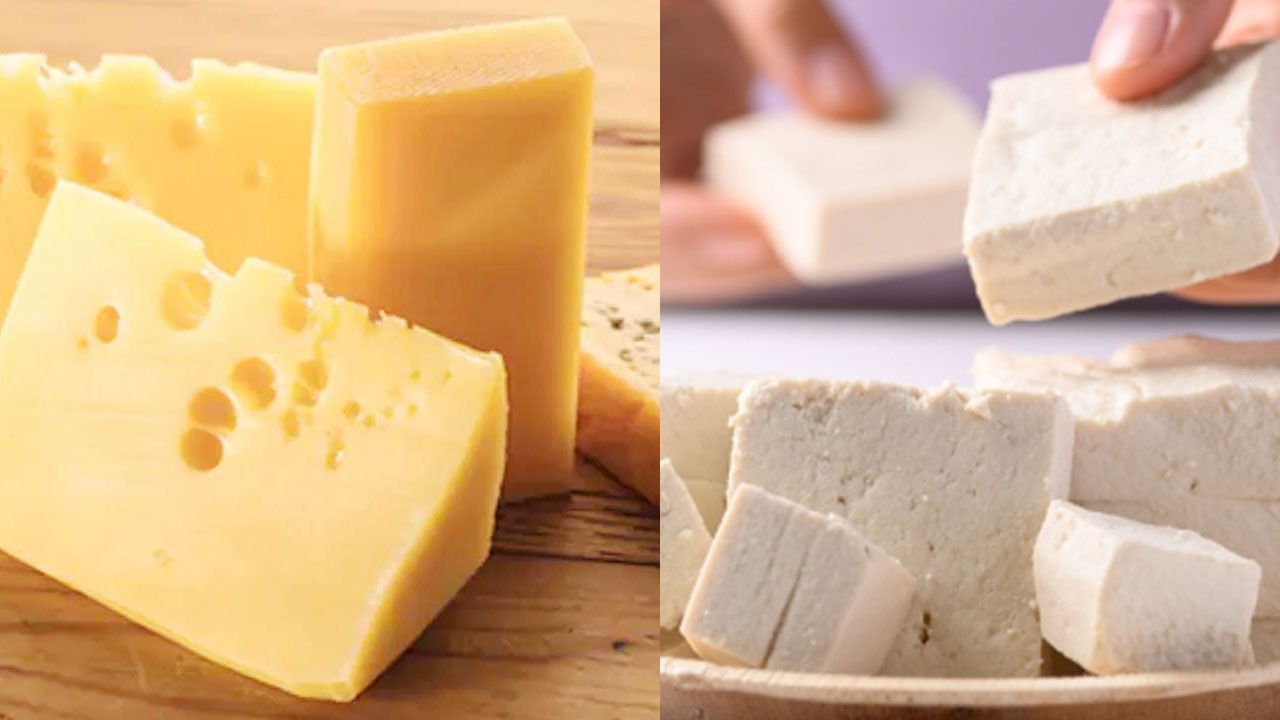 Health Tips: బరువు తగ్గాలనుకుంటున్నారా? జున్ను vs టోఫు రెండింట్లో బెస్ట్ ఏదో తెలుసా? Health Tips: బరువు తగ్గాలనుకుంటున్నారా? జున్ను vs టోఫు రెండింట్లో బెస్ట్ ఏదో తెలుసా?