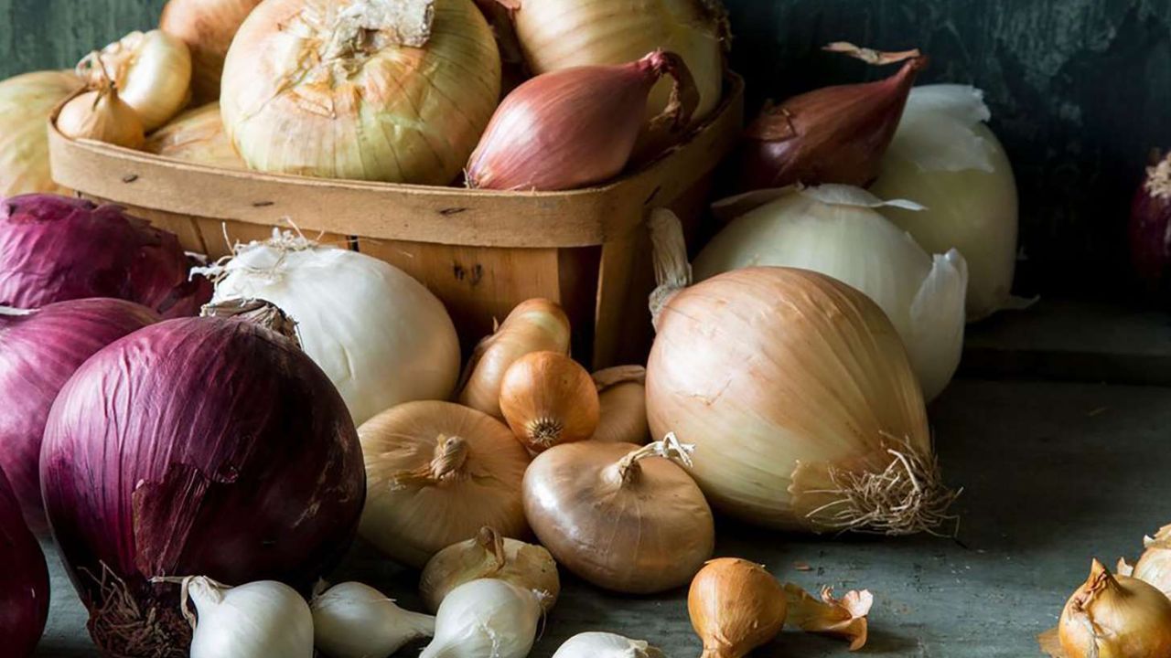 White onion, red onion: తెల్ల ఉల్లిపాయ, ఎర్ర ఉల్లిపాయ..ఆరోగ్యానికి ఏది మంచిదో తెలుసా ! White onion, red onion: తెల్ల ఉల్లిపాయ, ఎర్ర ఉల్లిపాయ..ఆరోగ్యానికి ఏది మంచిదో తెలుసా !