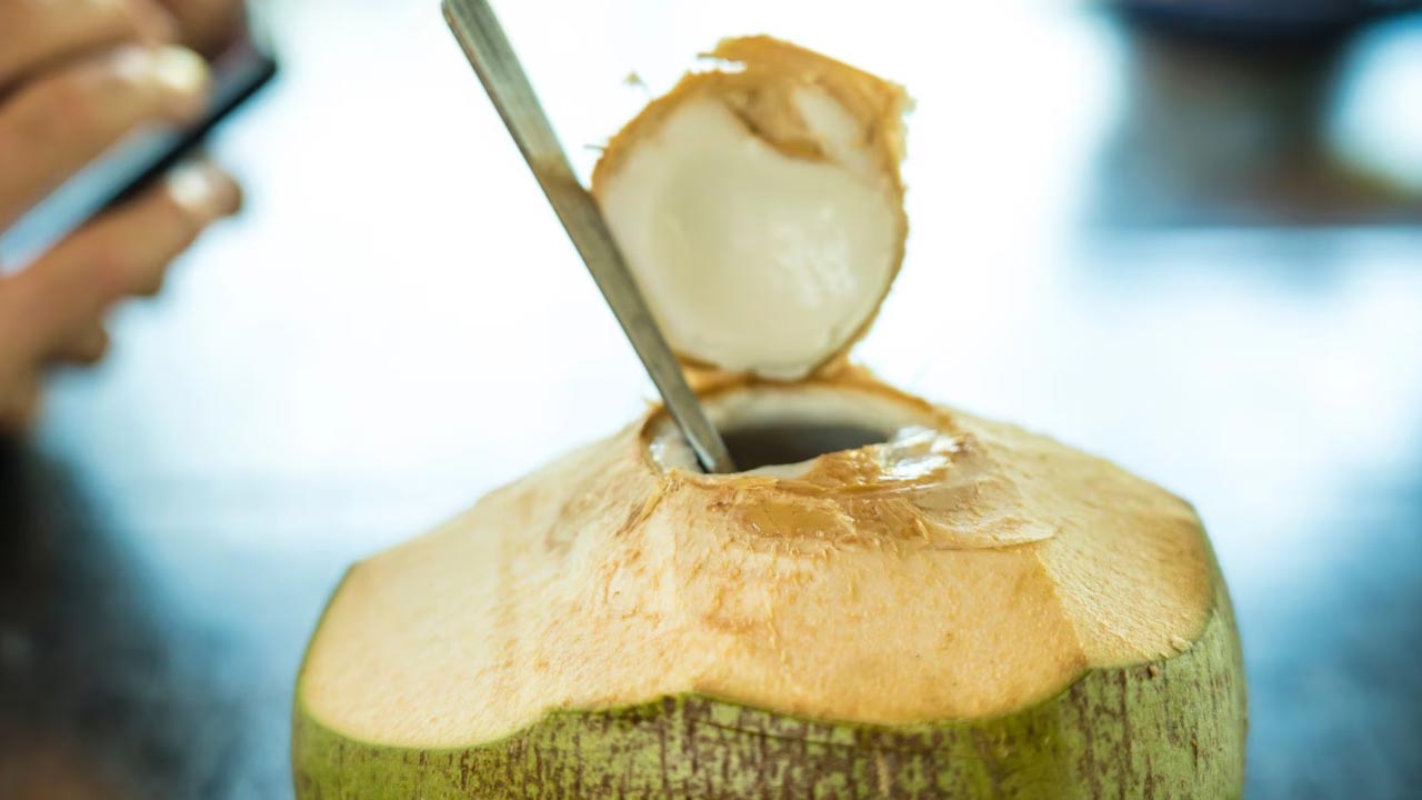 Coconut Water: ఈ వ్యాధులతో బాధపడుతున్నారా? కొబ్బరి నీళ్లు తాగి చెక్ పెట్టండి! Coconut Water: ఈ వ్యాధులతో బాధపడుతున్నారా? కొబ్బరి నీళ్లు తాగి చెక్ పెట్టండి!