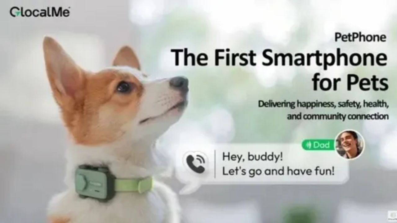 GlocalMe PetPhone: మనుషులకే కాదు.. ఇకపై పెంపుడు జంతువులకూ ఫోన్ GlocalMe PetPhone: మనుషులకే కాదు.. ఇకపై పెంపుడు జంతువులకూ ఫోన్