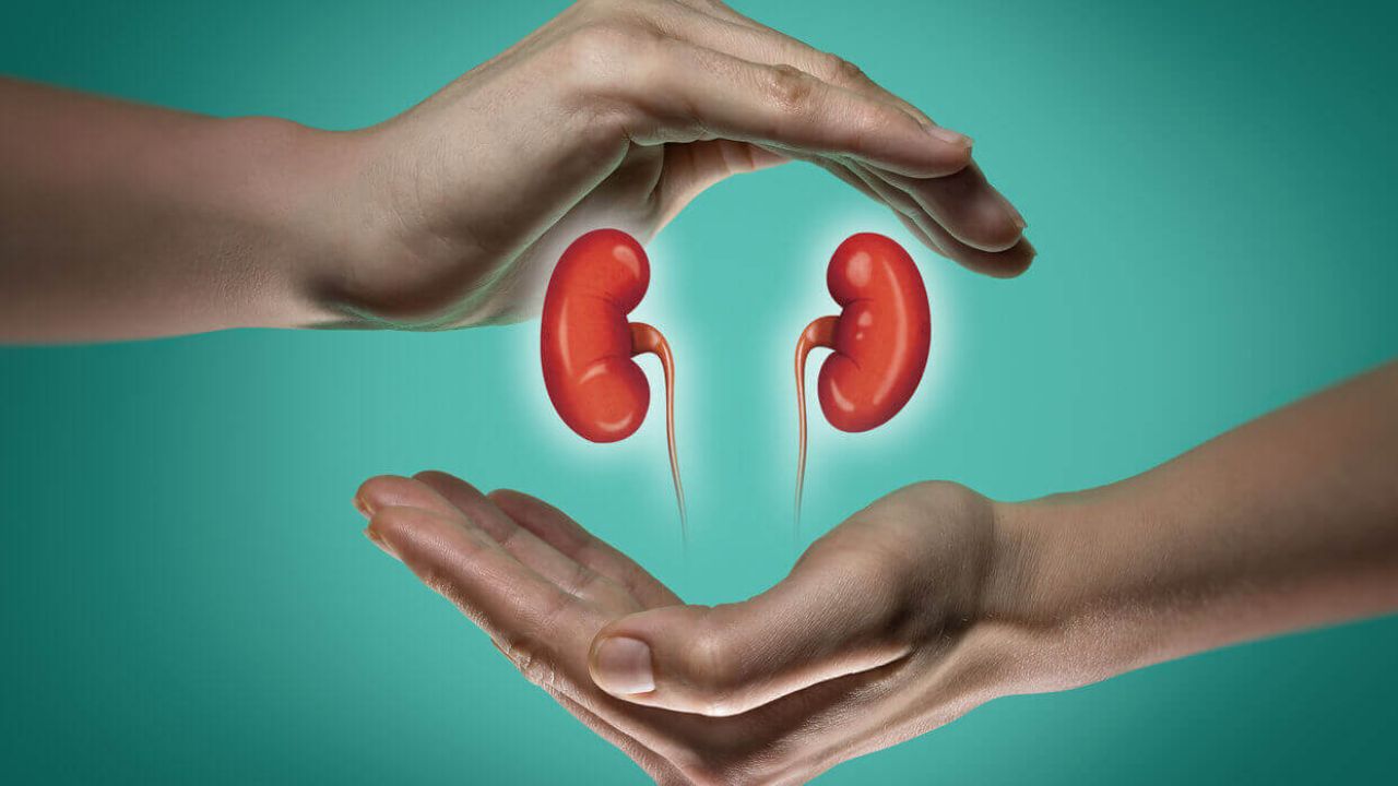 Kidney Health: ఈ పద్ధతులు మార్చుకోకపోతే కిడ్నీలు మార్చుకోవాల్సిందే! Kidney Health: ఈ పద్ధతులు మార్చుకోకపోతే కిడ్నీలు మార్చుకోవాల్సిందే!