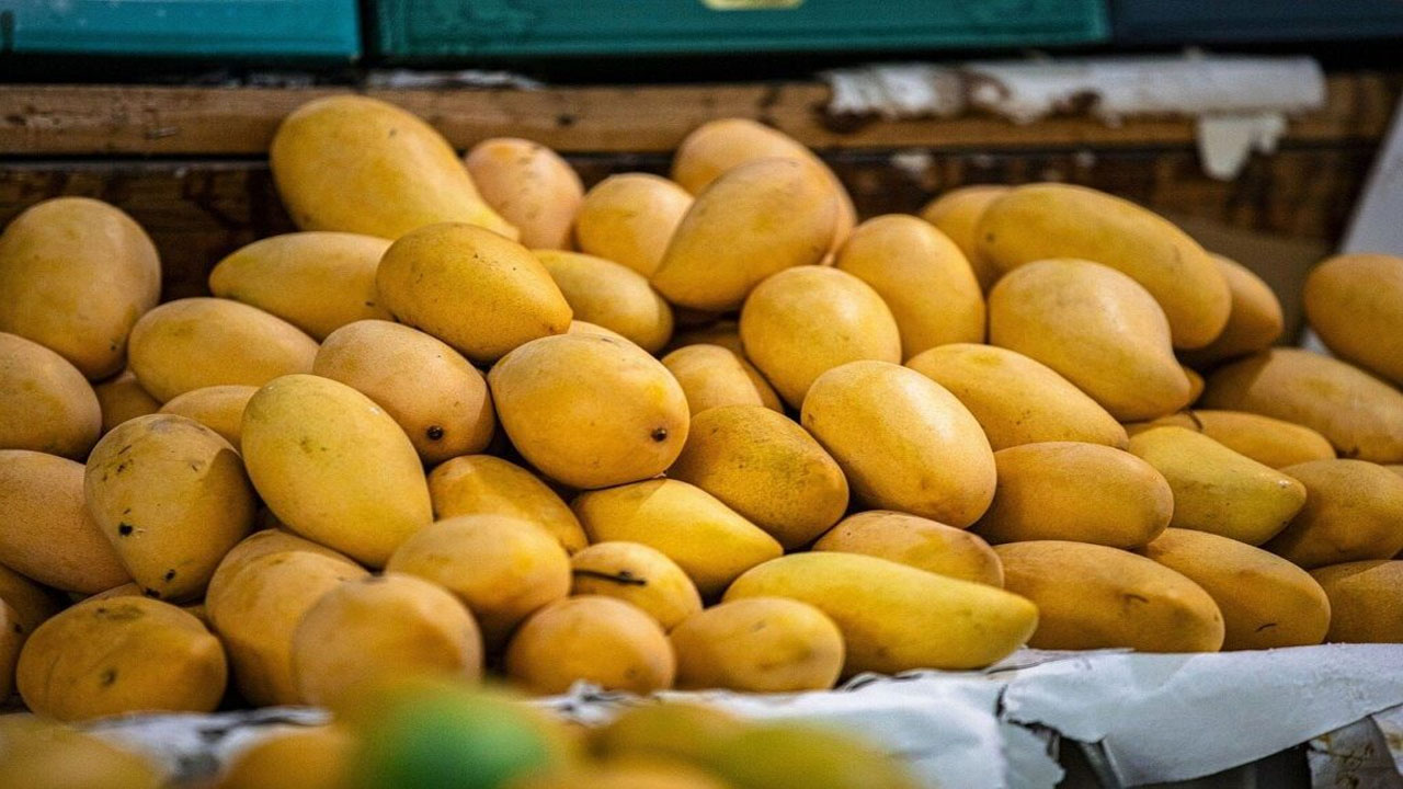 Mangoes: ఇలాంటి మామిడి పండ్లు తింటున్నారా? మీకు క్యాన్సర్ ముప్పు తప్పదు? Mangoes: ఇలాంటి మామిడి పండ్లు తింటున్నారా? మీకు క్యాన్సర్ ముప్పు తప్పదు?
