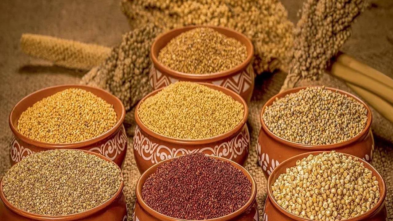Health Tips: ఏయే చిరుధాన్యాలు ఏయే వ్యాధులను తగ్గిస్తాయో తెలుసా? Health Tips: ఏయే చిరుధాన్యాలు ఏయే వ్యాధులను తగ్గిస్తాయో తెలుసా?