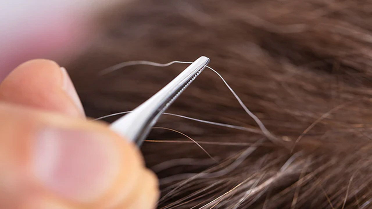Gray Hair: తలలో తెల్ల వెంట్రుకను పీకేస్తే.. మరిన్ని తెల్ల వెంట్రుకలు వస్తాయా? Gray Hair: తలలో తెల్ల వెంట్రుకను పీకేస్తే.. మరిన్ని తెల్ల వెంట్రుకలు వస్తాయా?