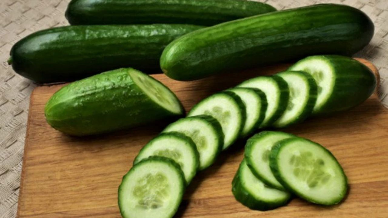 Cucumber Benefits: రోజూ కీర దోసకాయ తినడం వల్ల ఇన్ని ప్రయోజనాలు..? Cucumber Benefits: రోజూ కీర దోసకాయ తినడం వల్ల ఇన్ని ప్రయోజనాలు..?