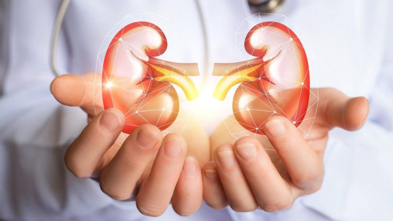 Healthy Kidney: కిడ్నీల ఆరోగ్యాన్ని కాపాడే 6 సులభమైన టిప్స్! Healthy Kidney: కిడ్నీల ఆరోగ్యాన్ని కాపాడే 6 సులభమైన టిప్స్!