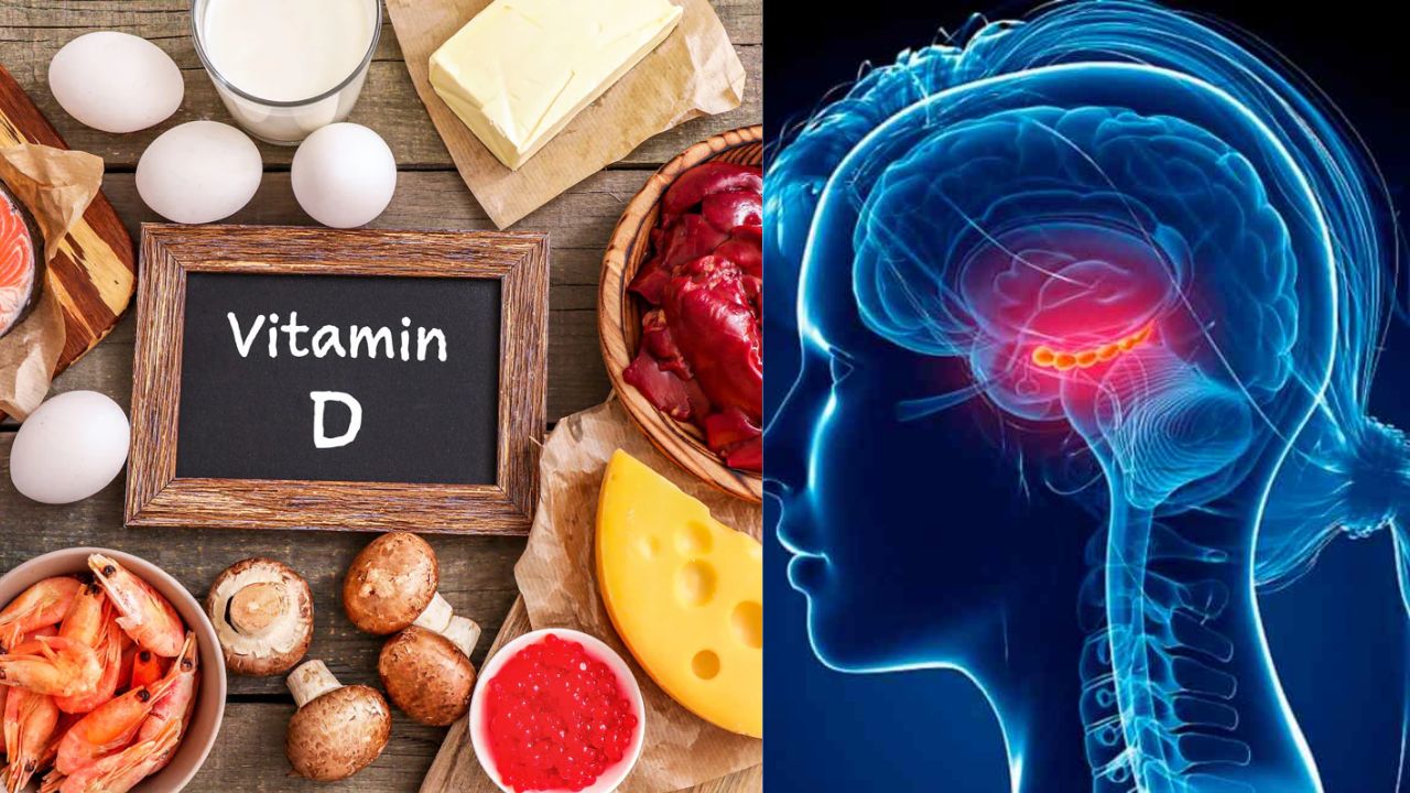 Vitamin D Foods: మెదడు ఆరోగ్యాన్ని మెరుగుపరచడంలో విటమిన్ D ఎలా తోడ్పడుతుందంటే..? Vitamin D Foods: మెదడు ఆరోగ్యాన్ని మెరుగుపరచడంలో విటమిన్ D ఎలా తోడ్పడుతుందంటే..?